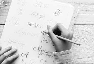 世界世界上最大的恐龙-世界上最大的恐龙之一