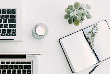 搜索世界上最大恐龙的-搜索世界上最大恐龙的图片