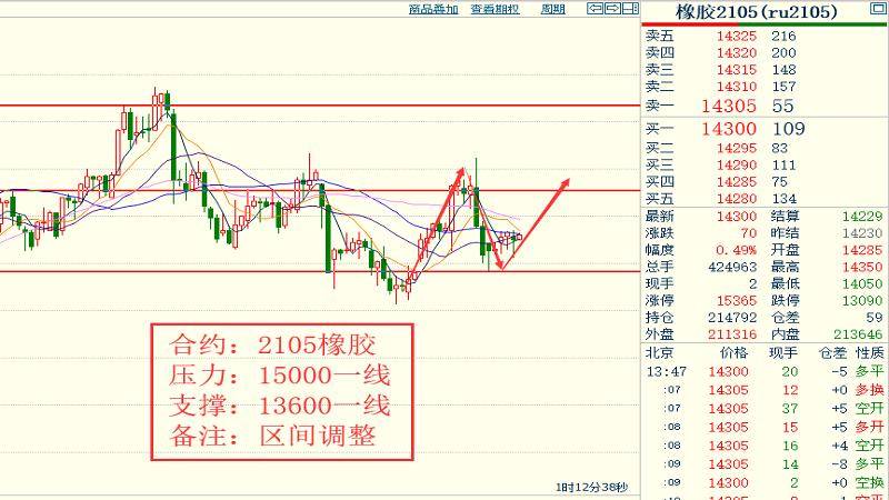 定结县今日菜价最新消息，2026年3月15日市场供应稳定，部分绿叶菜价格小幅回落